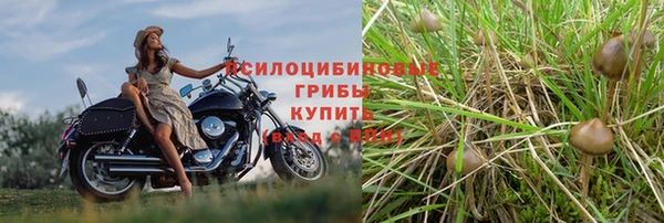 spice Елабуга