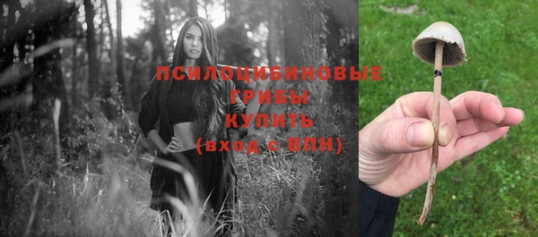 spice Елабуга