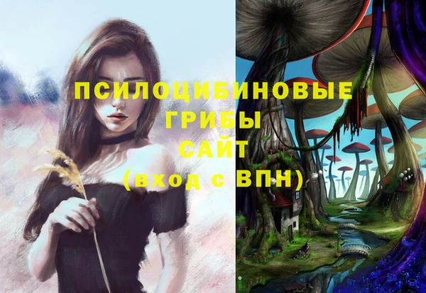 МДМА Заволжье