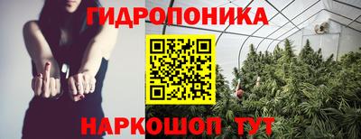 apvp Абакан