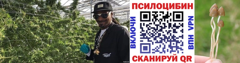 Псилоцибиновые грибы мухоморы  Иркутск 
