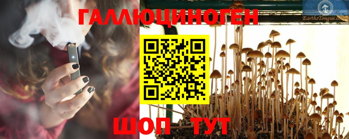 хочу наркоту  Галлюциногенные грибы GOLDEN TEACHER  Вход с VPN  Псилоцибиновые грибы Magic Shrooms  Россия 